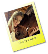 Woman hugging Horse